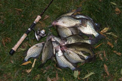 crappies, mississippi, fishing, pannellbytes, Duane Pannell, Redneck Russian